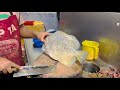 Amazing Silver Perch Fish Cutting &amp; Slicing | AM Fish House In Bengalore