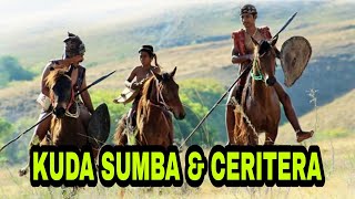 Kuda Sumba Dan Sedikit cerita Tentangnya