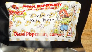 Blueberry Bolo Runtz Review