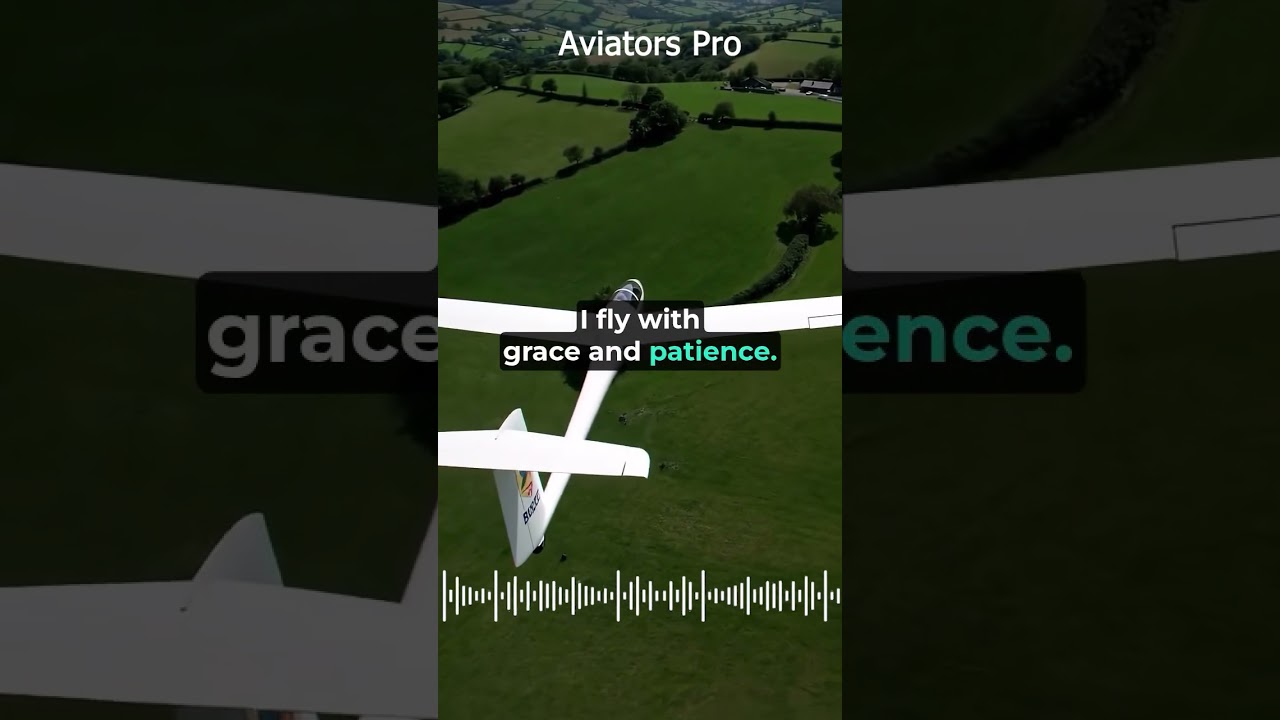 When silent flight meets sonic boom… talk about opposite airspaces. 🌬️💥