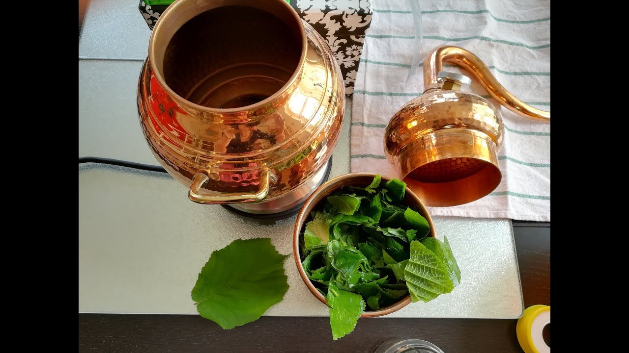 Destillation von Haselnussblatt für Gesichtswasser