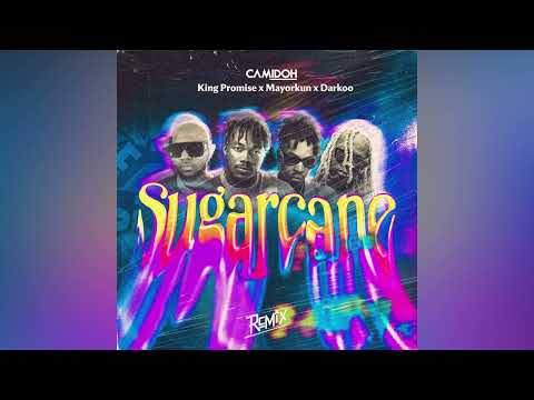 Camidoh - Sugarcane Remix (Feat. King Promise, Mayorkun & Darkoo) (Official Audio Slide)