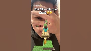 King of filter challenge #filterchallenge #minecraft