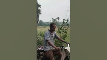 Short glimpse of JNTU-GV #jntugv #vizianagaram #engineering #university #eamcet #govtuniversity #ap