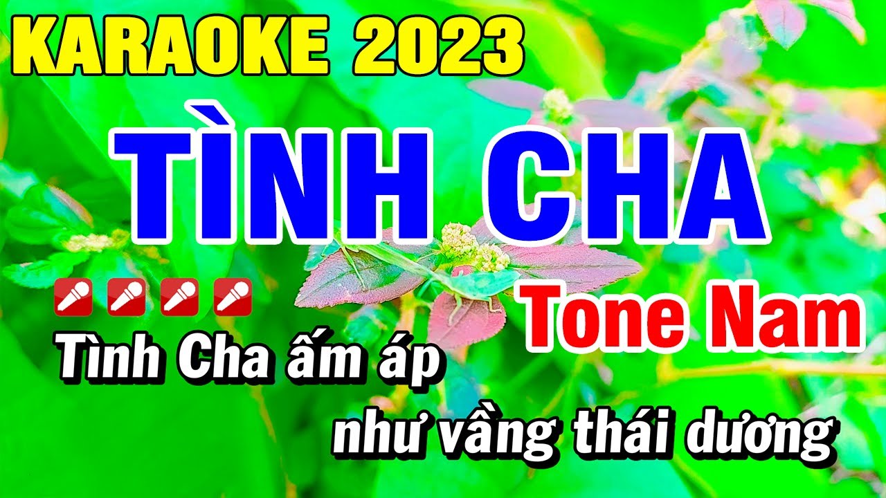 Karaoke Tình Cha - Ngọc Sơn Tone Nam Dể Hát Nhạc Sống | Hoài Phong Organ