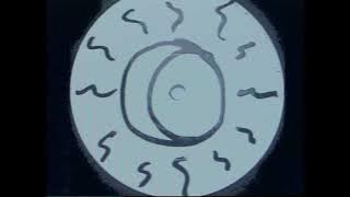 LOVE AND ROCKETS - Rain Bird (Lead Vocal Muted) Blocked Words Remix