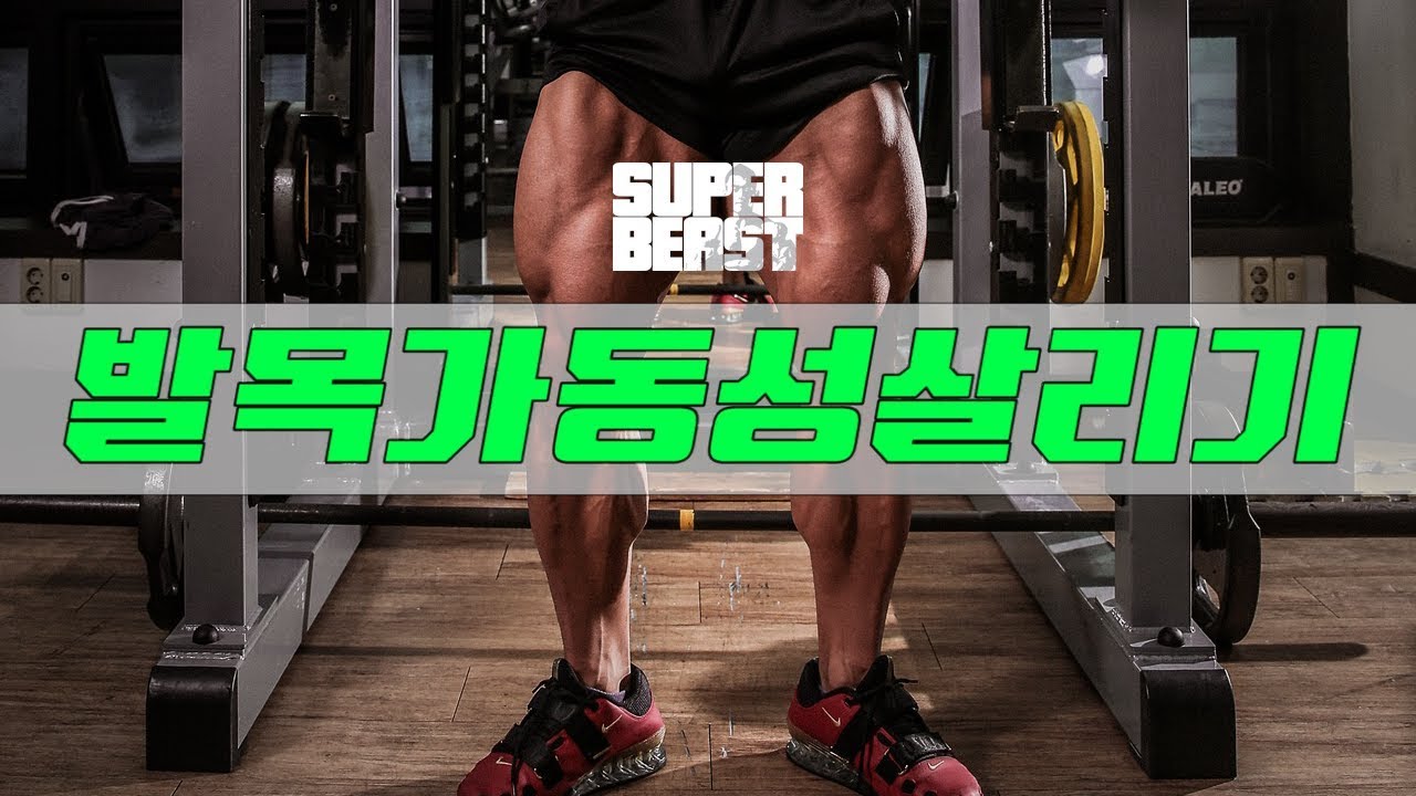스쿼트잘하기위한첫번째_발목가동성살리기[김성환매일운동+키스톤쌤]Ankle Mobility Workout