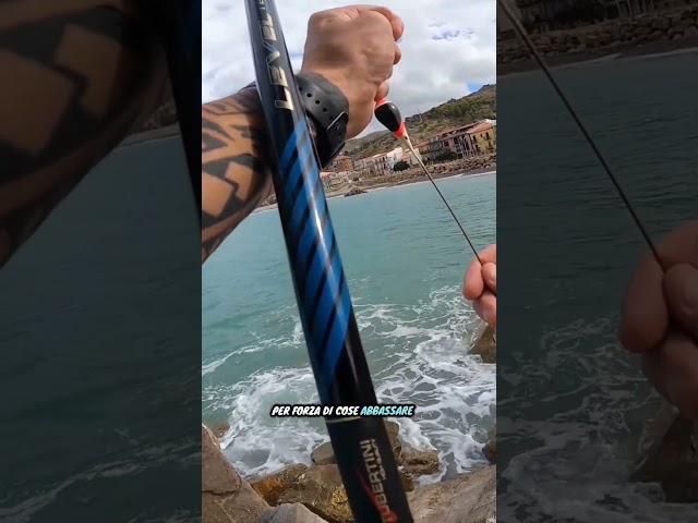 Pastella o bigattino con mare formato?