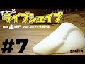 ライブシェイプ #7 / Hold Shaping / Shojinholds