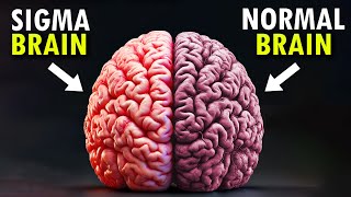 видео: 8 особенностей строения мозга сигма-самцов картинка: 8 особенностей строения мозга сигма-самцов