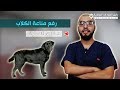 أهمية رفع مناعة الكلاب 