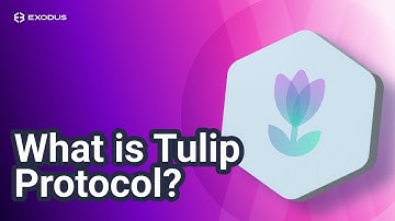 What is Tulip Protocol (Solana): Yield farming aggregator on Solana (Solana DeFi)