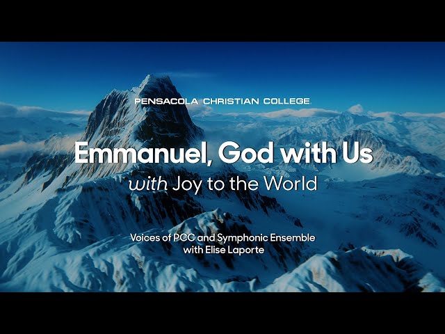 Medium Gift Bag - Emmanuel, God with US (Christmas)