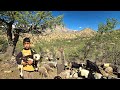 Ramin Meets His Grandfather and Herds Sheep in the Stunning Landscapes of the Zagros Mountains