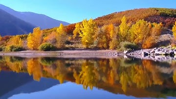 سورة القصص من الاية ١ إلى الاية ١١ القارئ بندر بليلة
