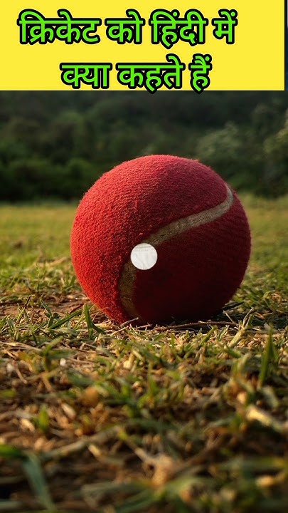 What Is Cricket Called In Hindi what-is-cricket-called-in-hindi