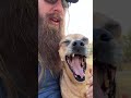 Sometimes we just hang out #narrowayhomestead #theoneandonlyminion #mansbestfriend  #famousdogs