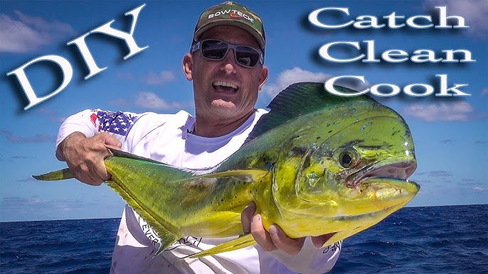 Tackle & Gear  Lures For Dorado 