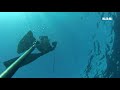 Chasse sous marine spearfishing pisode 8 avec les mordus de pche sous marine