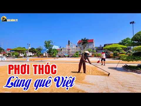 Cuộc sống yên bình trong ngôi làng công giáo ven biển miền bắc Việt Nam