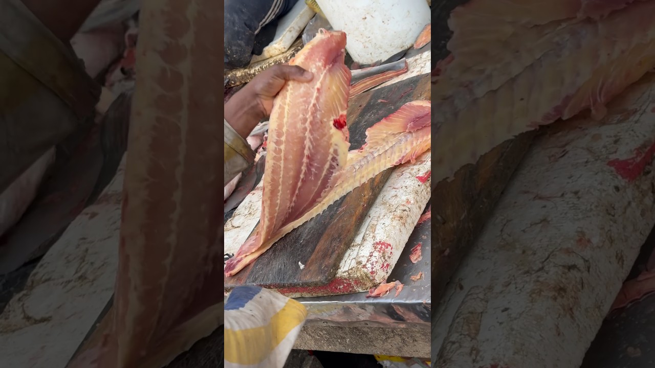 Amazing Basa Fish zBoneless Cutting Skills 