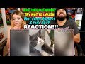 What Could Go Wrong - TRY NOT TO LAUGH - Best Funny Moment & Fails 2019 😂  | REACTION!!!