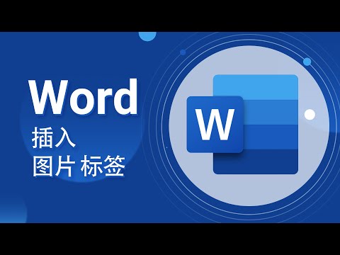【Word教程】09-插入图片 图片标签-爱籁课堂-Office系列教学
