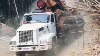 Puro poder de estás máquinas forestales en el cerro