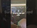 Surprise pub and cafe