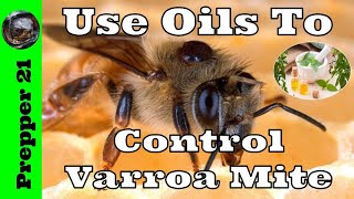 Use Essential Oils To Control Varroa Mite