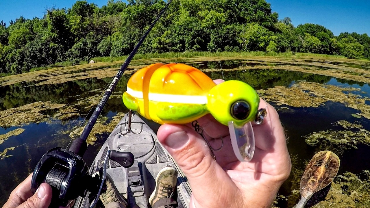 Bass Love Turtles!