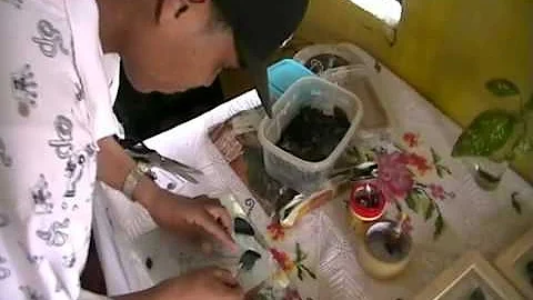 Baron Dean - Butterflyartist in Belize