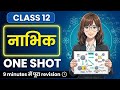 Class 12 Physics Chapter 13 CUET Hindi Medium | Nuclei | Up Board Quick Revision