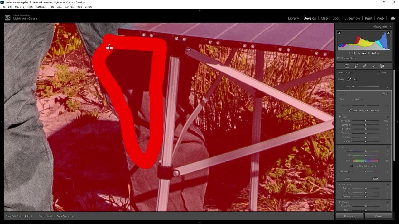 How do you make a background black and white but keep the person color