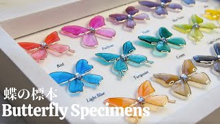 🌹感謝10万人ありがとう!!/”蝶の標本”透明感120%の新しい着色剤の色見本/Make a Butterfly specimen/Amazing Color Sample