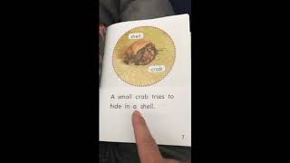 Mr. L Read Level D Read Aloud: In the Sea