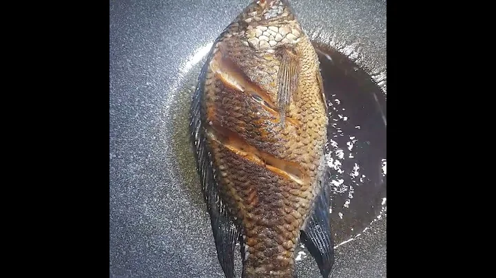 satisfying fried tilapia ASMR sound #shorts #asmr #satisfying #trending #viral #viralshorts #telapia