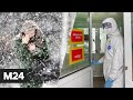 Снегопад накрыл Москву. Лечение коронавируса: ответы на главные вопросы - Новости Москва 24