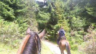 Calare Pe Mandra