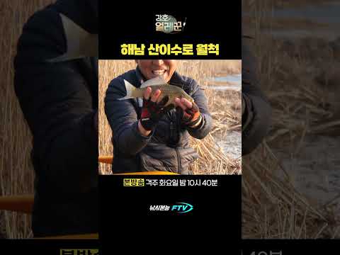 해남의 유명한 포인트에서 <strong>월척</strong> #붕어낚시 #강호얼레꾼