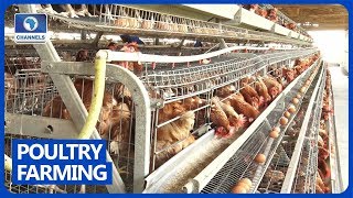Community Report | Poultry Farmers Manage Through COVID-19 Pandemic