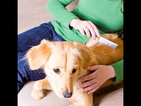 Eine beziehung richtig führen