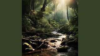 Serenity in the Stream's Gaze