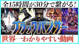 【超まとめ】これで安心！ブラックパンサーの物語一挙解説【ワカンダフォーエバー】