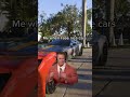The nicest cars in the game😤
