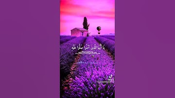 القارئ أبو راشد من أجمل التلاوات ❤❤