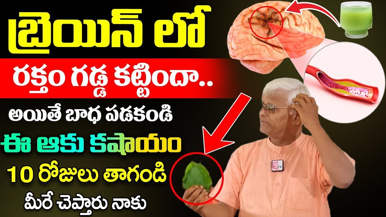 Khader Vali - బ్రెయిన్ లో రక్తం గడ్డ కట్టిందా | ఈ ఆకు కషాయం10 రోజులు తాగండి | Brain | SumanTv
