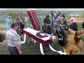 Dog breaks into funeral and refuses to let its owner be buried!