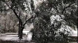 Snow Day 2017 - Ponchatoula, LA (December 08, 2017)