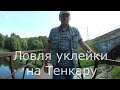 Ловля уклейки на Тенкару